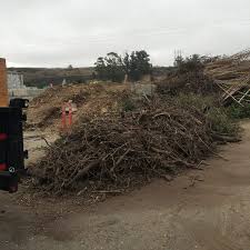 Yard Debris Removal project 2
