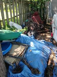 Yard Debris Removal project 1