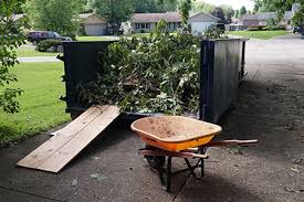 Yard Debris Removal project 2